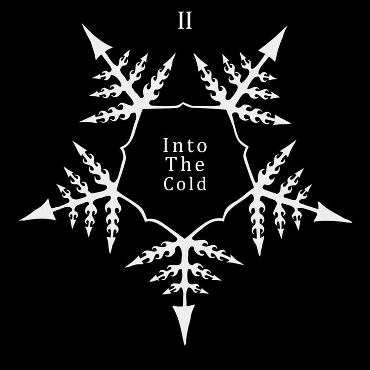 Into the Cold's avatar image