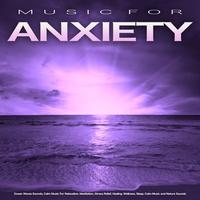 Music For Anxiety's avatar cover