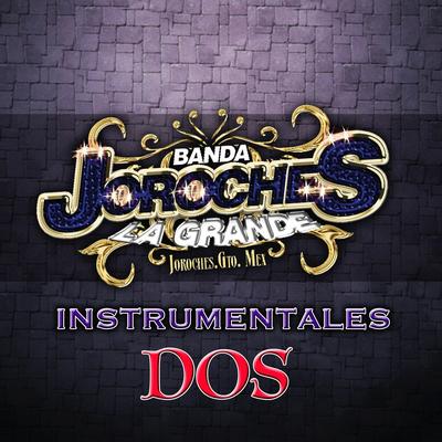 Dragon Ball Z By Banda Joroches la Grande's cover