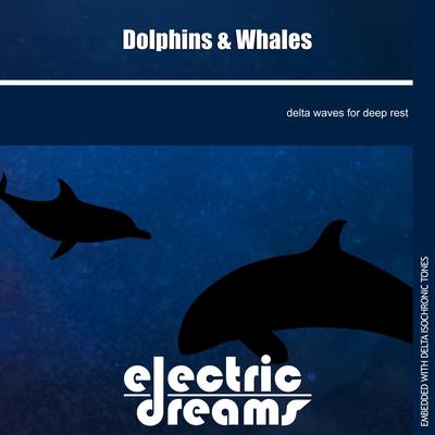 Dolphins and Whales By Electric Dreams's cover