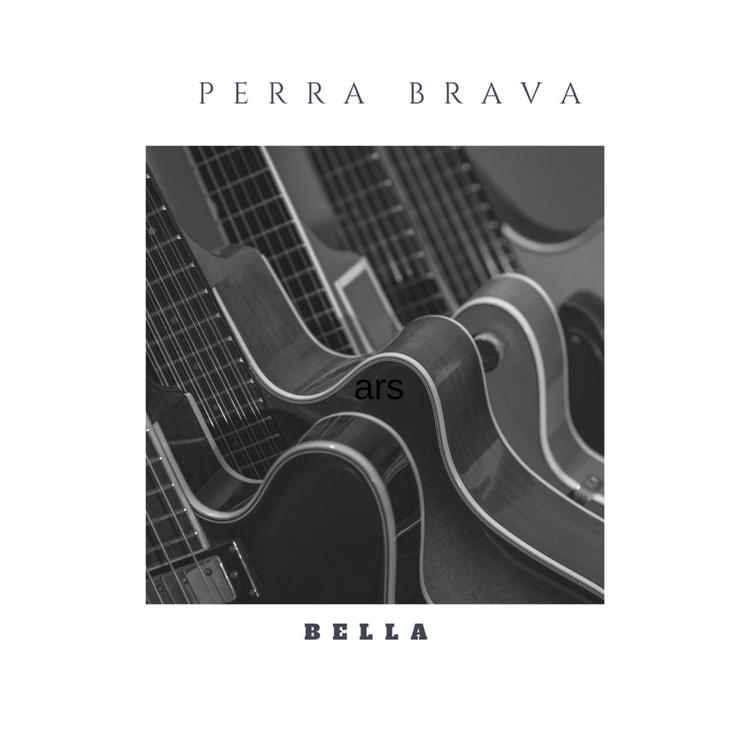 Perra Brava's avatar image