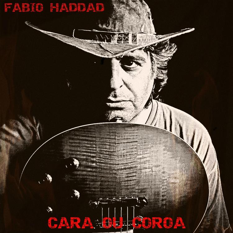 Fabio Haddad's avatar image