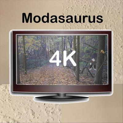 Modasaurus's cover