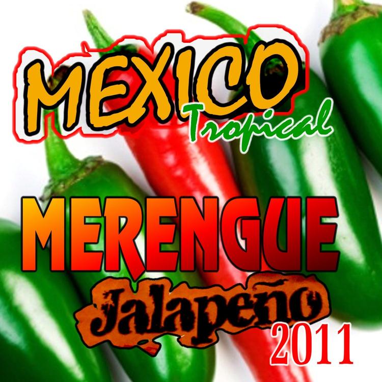 Mexico Tropical's avatar image