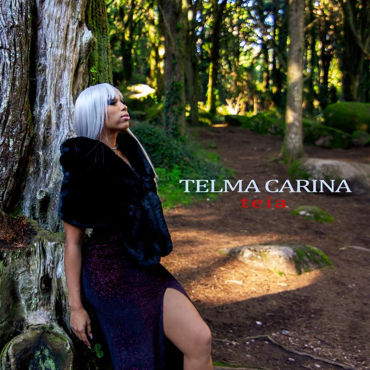 Telma Carina's avatar image