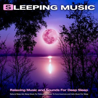 Music To Cure Insomnia By Spa Music, Relaxing Music For Sleeping, Sleeping Music's cover