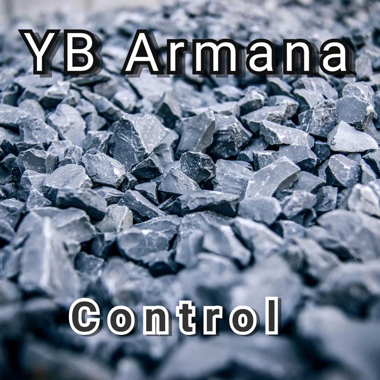 YB Armana's avatar image