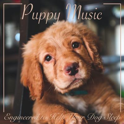 Indian Spa By Dog Music's cover