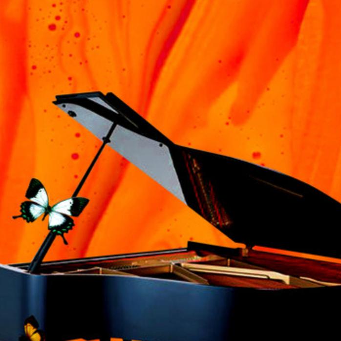 Piano Pianissimo's avatar image