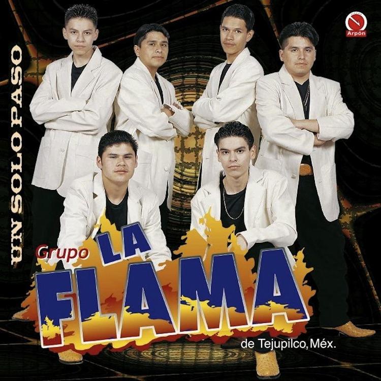 Grupo La Flama De Tejupilco Méx.'s avatar image