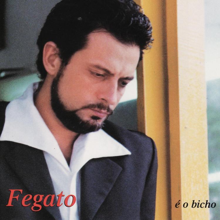 Fegato's avatar image