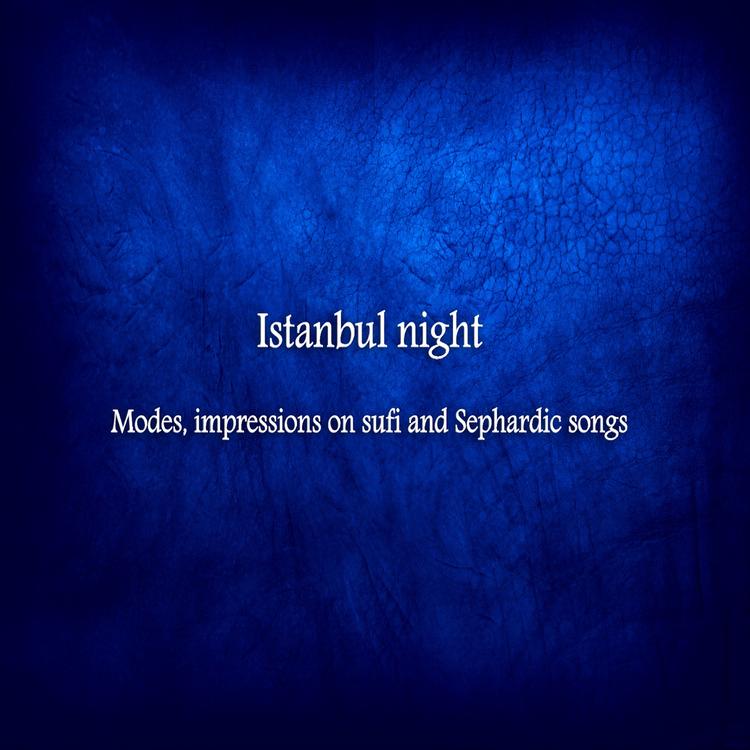 Istanbul night's avatar image