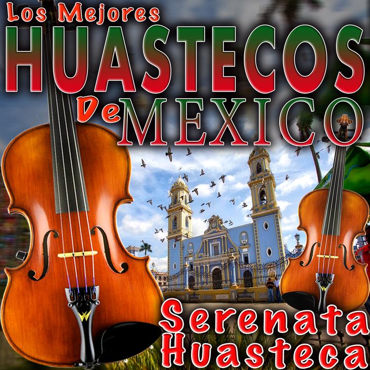 Serenata Huasteca's avatar image
