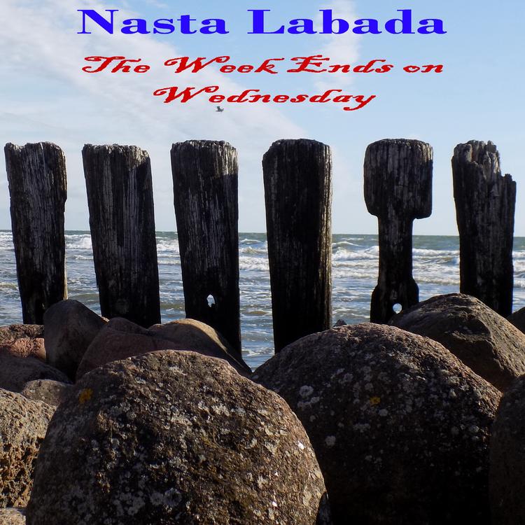 Nasta Labada's avatar image