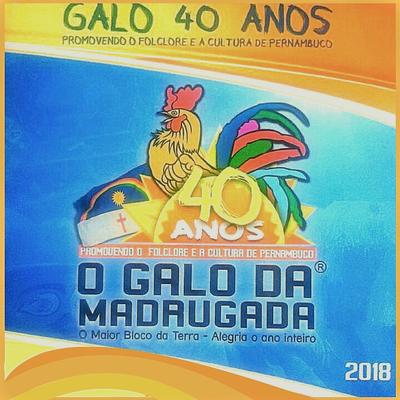 Galo Eu Te Amo By Galo da Madrugada, Almir Rouche's cover