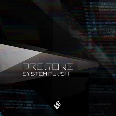 System Flush's cover