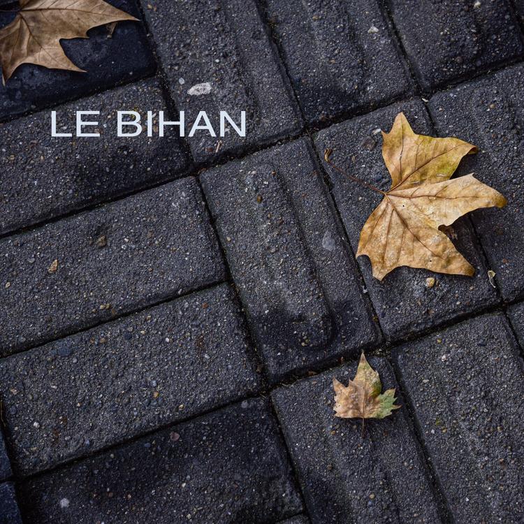 Le Bihan's avatar image