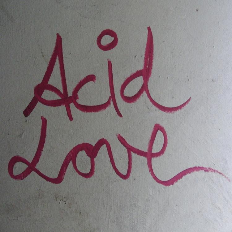 Acid Kid 303's avatar image