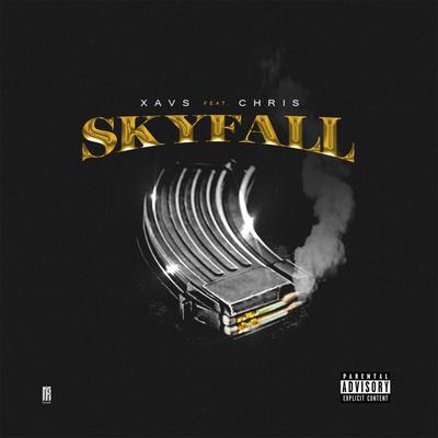 Skyfall By Xavs, Chris MC's cover