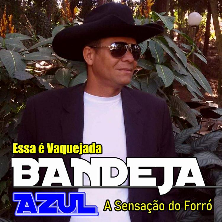 Bandeja Azul A Sensação do Forró's avatar image