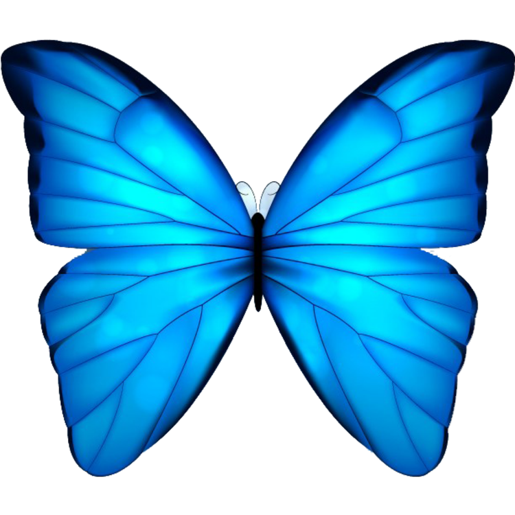 Blue Butter Fly's avatar image