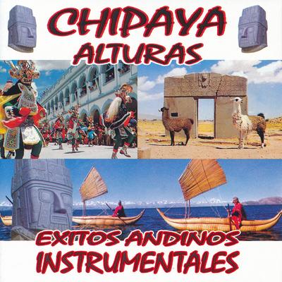 Exitos Andinos Instrumentales's cover