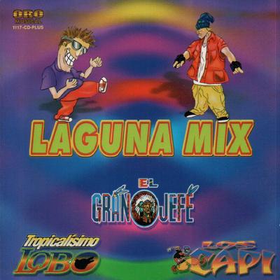 Laguna Mix's cover