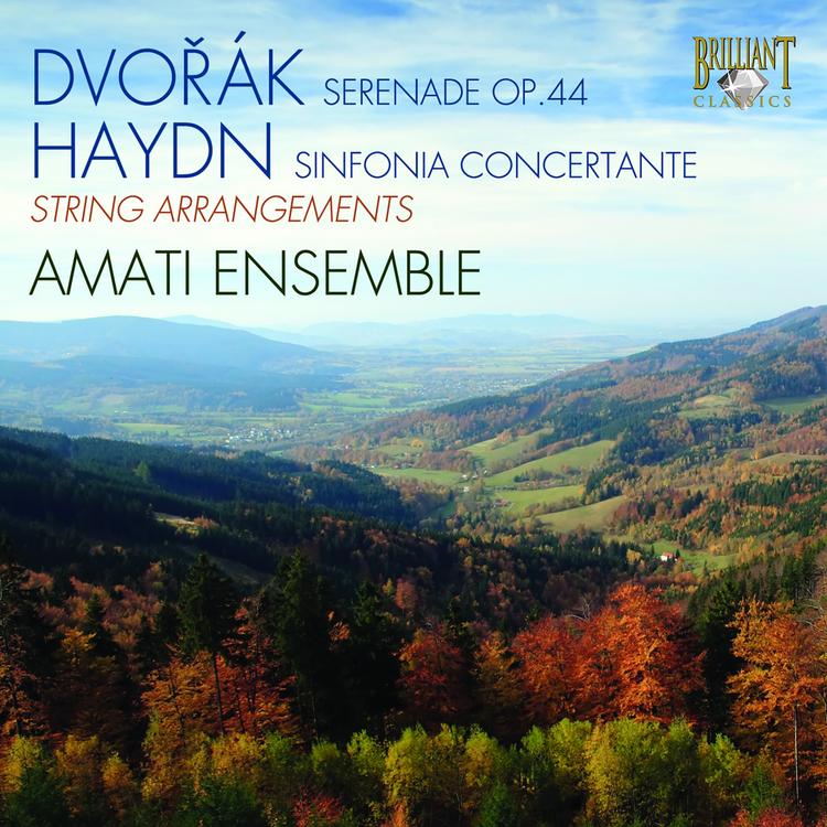 Amati Ensemble's avatar image