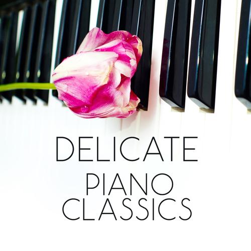 nocturne-in-b-flat-minor-op-9-no-1-official-tiktok-music-martin
