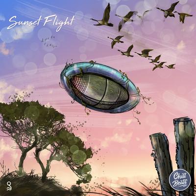 Sunset Flight By goosetaf's cover