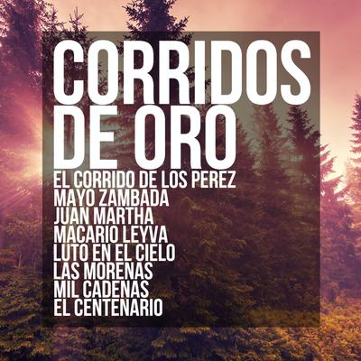 Corridos de Oro: El Corrido de los Perez, Mayo Zambada, Juan Martha, Macario Leyva, Luto en el Cielo, Las Morenas, Mil Cadenas, El Centenario's cover