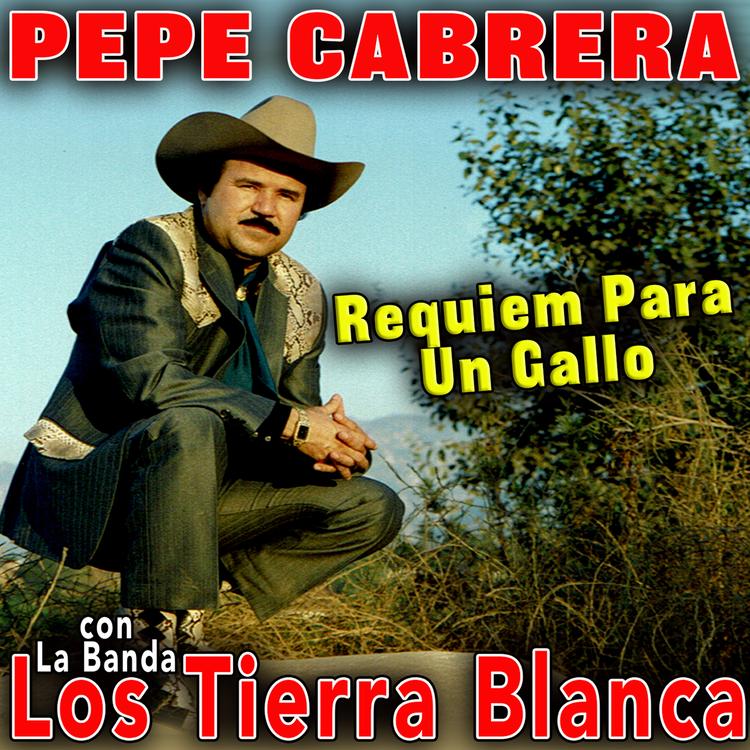 Pepe Cabrera con la banda los tierra blanca's avatar image