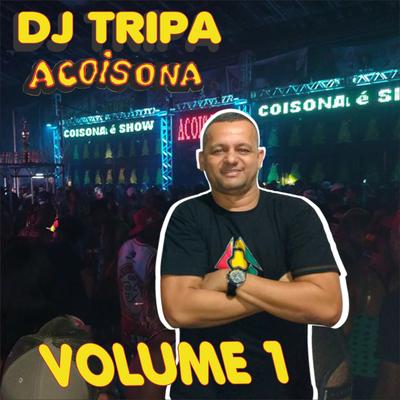 Olaria Merendiba Galinha By Dj Tripa, Acoisona's cover