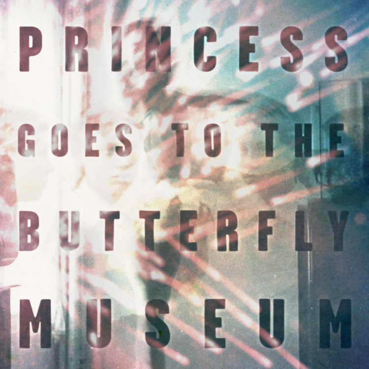 Princess Goes To The Butterfly Museum's avatar image