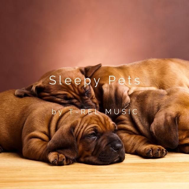 Sleepy Pets's avatar image