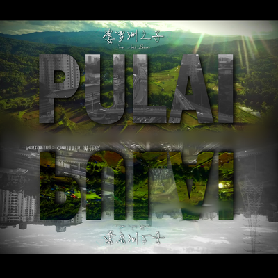 Pulai's cover
