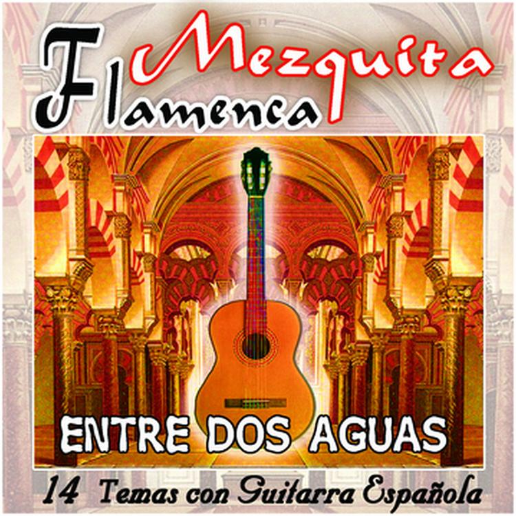 Varios guitarristas flamencos's avatar image