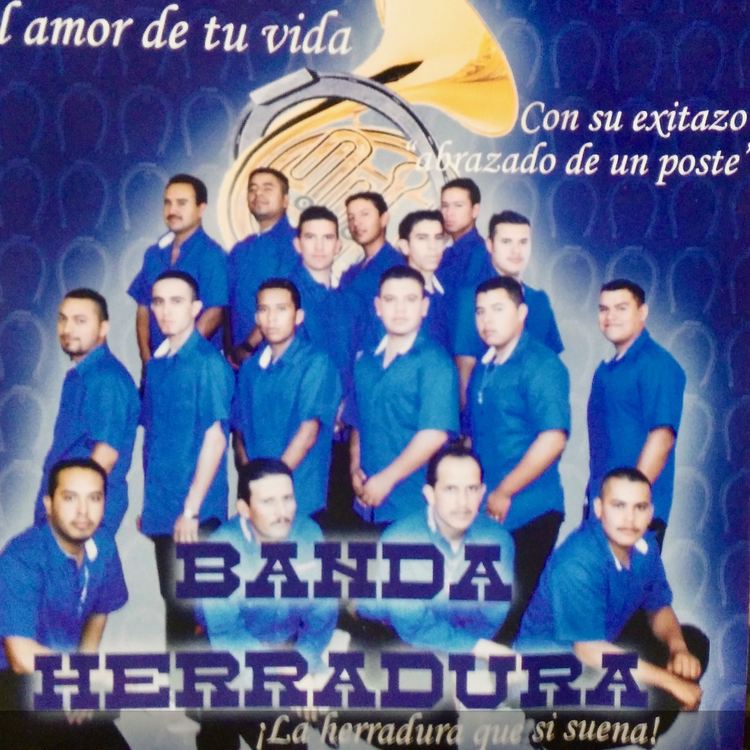 BANDA HERRADURA's avatar image