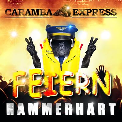 Feiern Hammerhart's cover