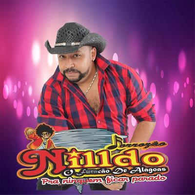 Tchau Obrigado By Nilldo Furacão de Alagoas's cover