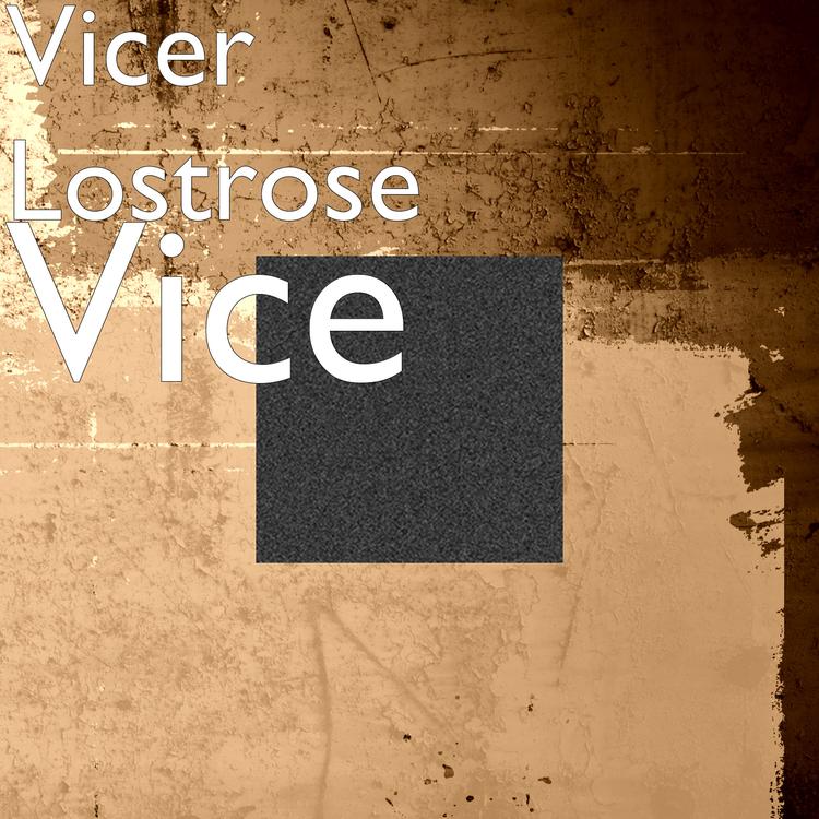 Vicer Lostrose's avatar image