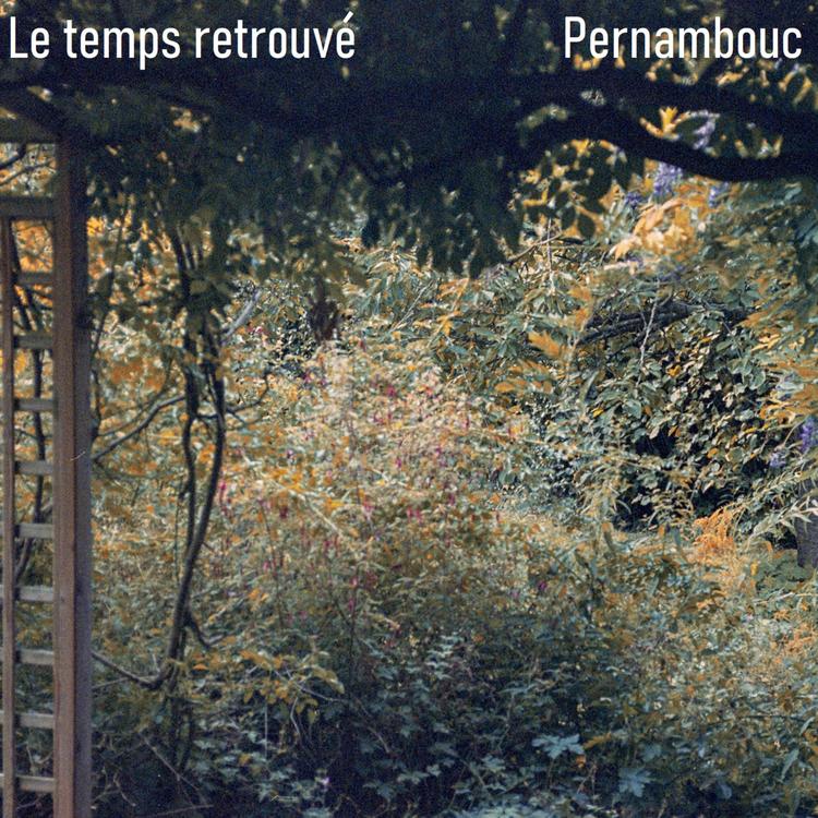 Pernambouc's avatar image