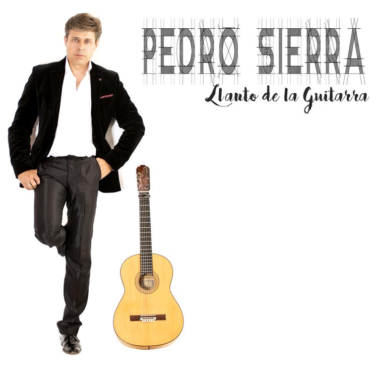 Pedro Sierra's avatar image
