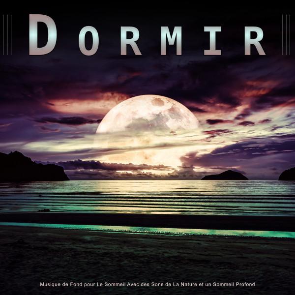 Musique pour Dormir Official Tiktok Music - List of songs and albums by Musique  pour Dormir
