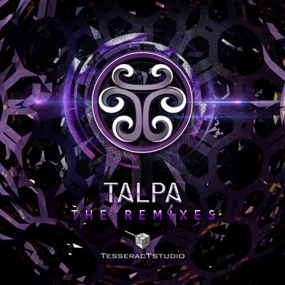 We Come In Peace (Talpa Remix) By Zyce, Liquid Soul, Solar Kid, Talpa's cover