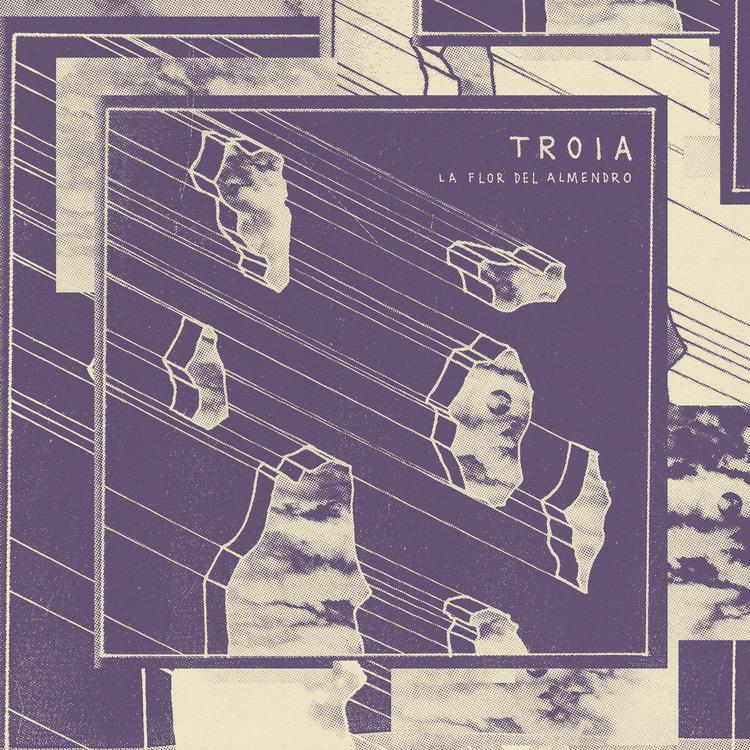 TROIA's avatar image