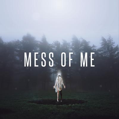 Mess of Me By Citizen Soldier's cover