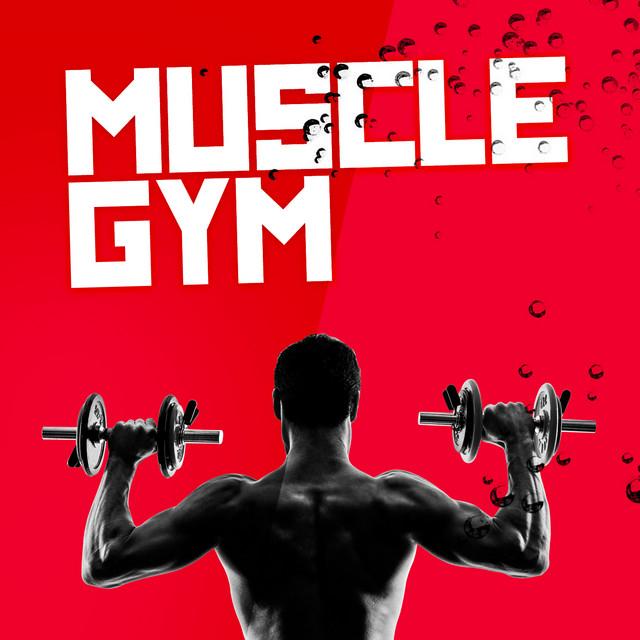 Muscle Gym's avatar image