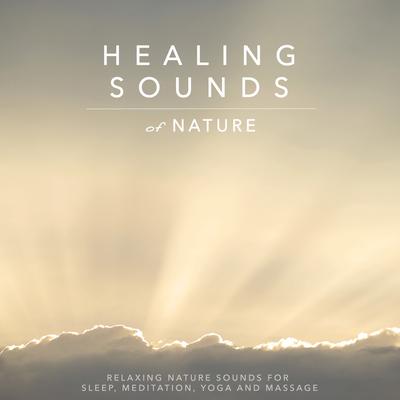 Evening Meditation Stream By Sound Waves's cover