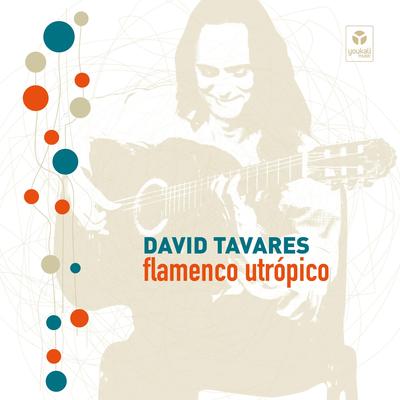 Fandango Morisco By David Tavares's cover